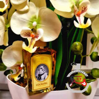 Cockatiel Zoologist Perfumes